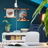 Home office with green walls, white desk, laptop, vkb poster hangers with cuisine photos, and plants.
