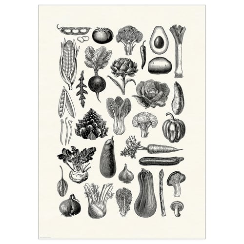 Cartaz preto e branco com várias frutas e legumes na ilustração detalhada da arte da linha.