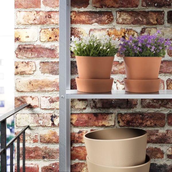 Dois vasos de plantas com flores roxas e brancas na prateleira de metal contra a parede de tijolos.