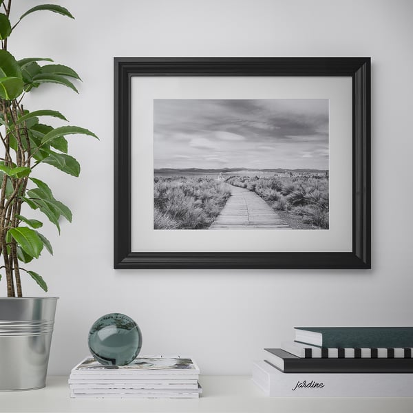 Uma foto costeira em preto e branco emoldurada está pendurada na parede, com um vaso de plantas e livros embaixo.