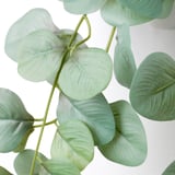 Folhas artificiais de eucalipto. Textura realista e cor verde vibrante. Montado em hastes delgadas e dobráveis. Perfeito para decoração de interiores.