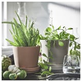 Dois vasos de plantas com acabamento fosco cinza e marrom estão em uma mesa com um copo d'água, ao lado de vegetais.