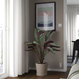 Sala de estar moderna com vaso de planta cinza sob arte colorida.