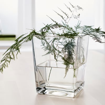 Vaso quadrado transparente com folhas verdes semelhantes a samambaias, mantendo-as em pé na água. Decoração simples e moderna.