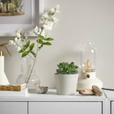 O vaso de plantas KÖRSBÄRSBJÖRK branco, pequeno, fica ao lado de outros artigos de decoração.