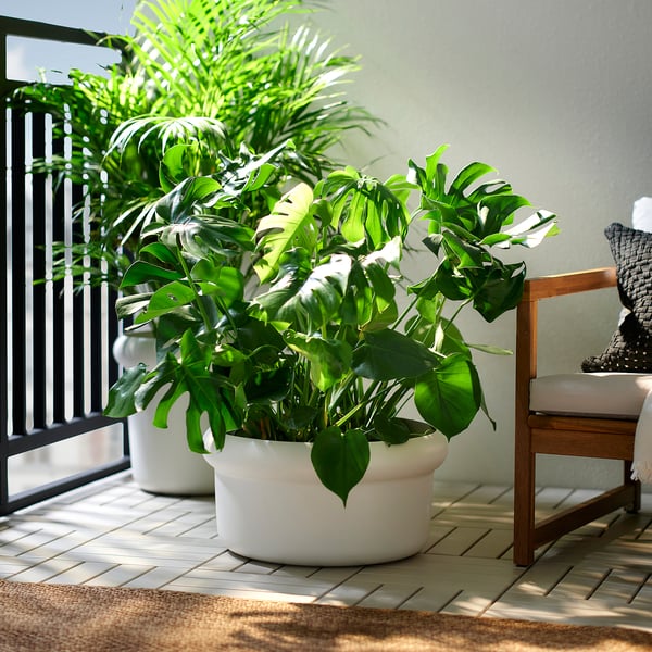 MÅBÄRSBUSKE Vaso, exterior/branco-bege, 44 cm