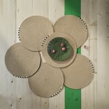 Quatro jogos americanos de juta trançados cercam um prato verde com frutas rosa em um piso de madeira.