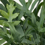 Um arranjo exuberante de plantas folhosas verdes vibrantes, apresentando texturas variadas e crescimento saudável, emolduradas contra um fundo branco brilhante.