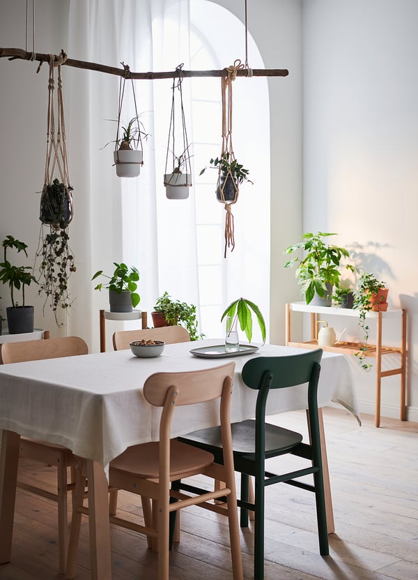 Sala de jantar iluminada e arejada com mesa branca, cadeiras RÖNNINGE de cores mistas, verde e bege. Plantas penduradas, janela grande.