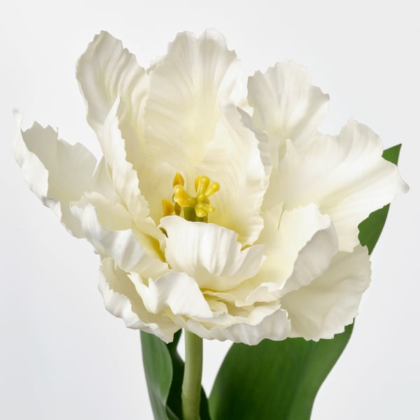 SMYCKA Flor artificial, interior/exterior túlipa/cores variadas, 50 cm