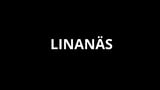 LINANÄS 2-seat sofa, Vissle dark grey