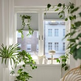 HORNVALLMO Block-out pleated blind, white/top-down bottom-up, 100x130 cm