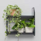 APOTEKARE Wall shelf, black, 50x52 cm