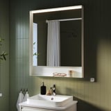 FAXÄLVEN Mirror with built-in lighting, 60x95 cm