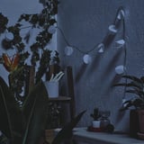 SOLVINDEN LED string light with 12 lights, battery operated/leaf