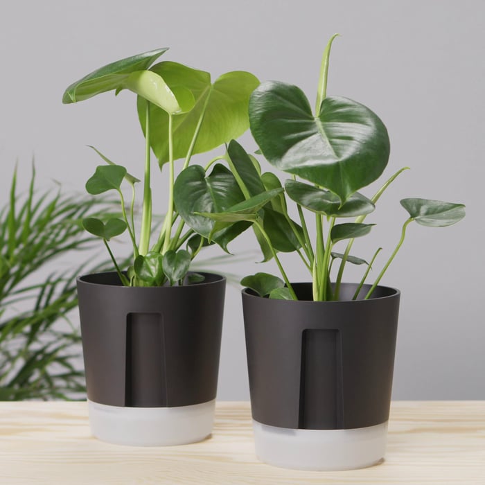 24 inch diameter plastic plant pots HC Companies LIA24000E35 24-Inch Indoor Outdoor Plastic Round Classic –  VMInnovations main image 1