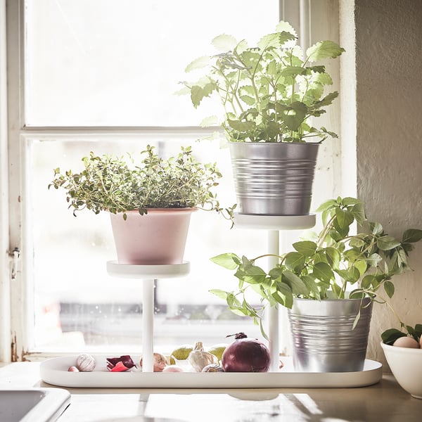 CHILISTRÅN حامل نباتات, أبيض, 24 سم