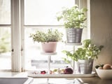 CHILISTRÅN حامل نباتات, أبيض, 24 سم