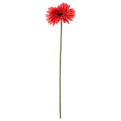 SMYCKA زهرة صناعية, Gerbera/أحمر, 50 سم