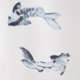 VATTENSJÖN ستارة للدُش, أبيض أزرق/سمك, ‎180x200 سم‏