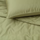 BJÖRKAL Duvet cover and 2 pillowcases, beige/green, 240x220/50x80 cm