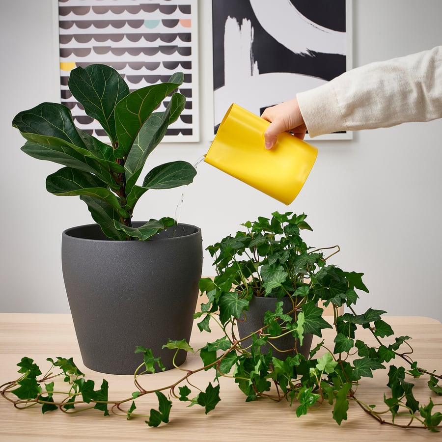 CHILIFRUKT vase/watering can, bright yellow, 17 cm IKEA