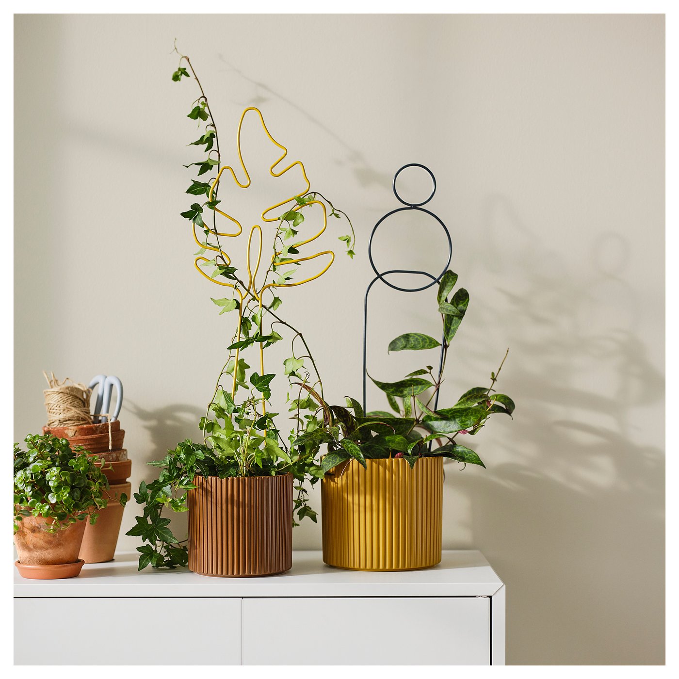 DAKSJUS ダクシュース プラントスタンド, 竹, 60 cm - IKEA