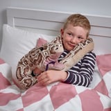 DJUNGELSKOG Glove puppet, snake/burmese python