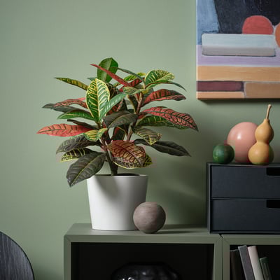 FEJKA Artificial potted plant, in/outdoor Croton, 12 cm