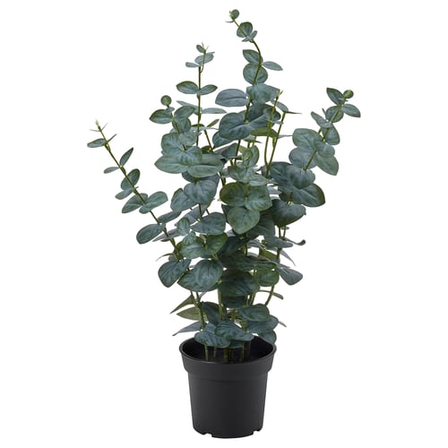 FEJKA Artificial potted plant, in/outdoor eucalyptus, 15 cm