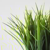 FEJKA Artificial potted plant, in/outdoor grass, 9 cm