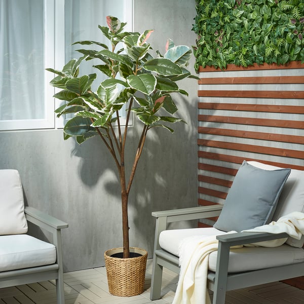 FEJKA Artificial potted plant, in/outdoor Rubber plant, 23 cm