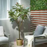 FEJKA Artificial potted plant, in/outdoor Rubber plant, 23 cm