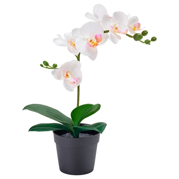 FEJKA Artificial potted plant, Orchid white, 9 cm