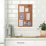 FLÖNSA Memo board with pins, cork, 52x33 cm