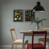 KNOPPÄNG Frame with poster, vintage botanical fruit charts, 40x50 cm