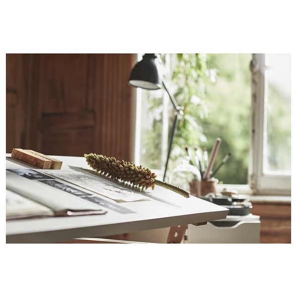 LAGKAPTEN Table top, white, 120x60 cm
