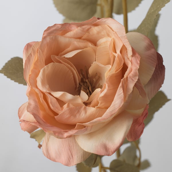 SMYCKA Artificial flower, in/outdoor/Rose golden-brown, 63 cm