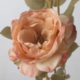 SMYCKA Artificial flower, in/outdoor/Rose golden-brown, 63 cm