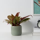 STILREN Plant pot, dark turquoise, 12 cm