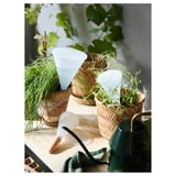 SVÄMSKOG Self-watering insert, terracotta/transparent, 25 cl