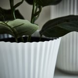 VINTERFINT Plant pot, white, 12 cm