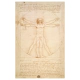 Pânză BJÖRKSTA cu schiță de om vitruvian leonardos.