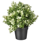 FEJKA: plantă verde artificială cu flori albe, în ghiveci din plastic negru, design rotund.