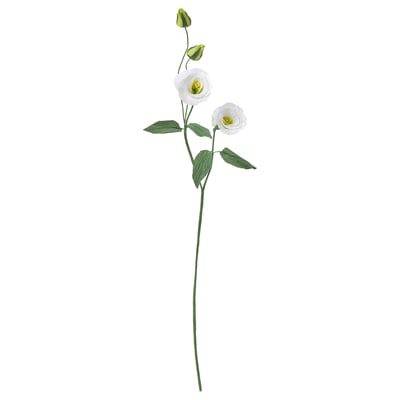 GULDSPETT Floare artificială, hârtie/Lisianthus alb, 55 cm
