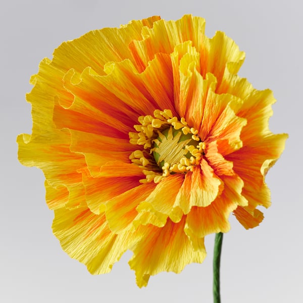 GULDSPETT Floare artificială, hârtie/mac portocaliu, 40 cm