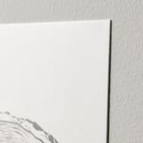 Peretele cu textură albă întâlnește marginea posterului alb clar și curat. Hârtie de înaltă calitate, finisaj îngrijit.