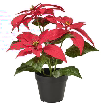 O plantă de poinsettia artificială roșie vibrantă în ghiveci într-un recipient de plastic negru.