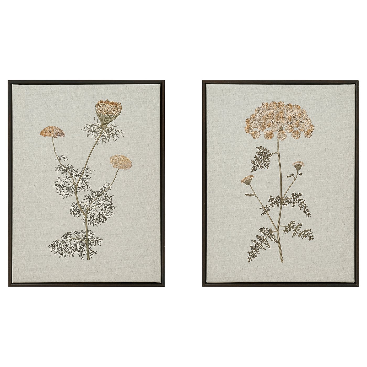 product-3672401