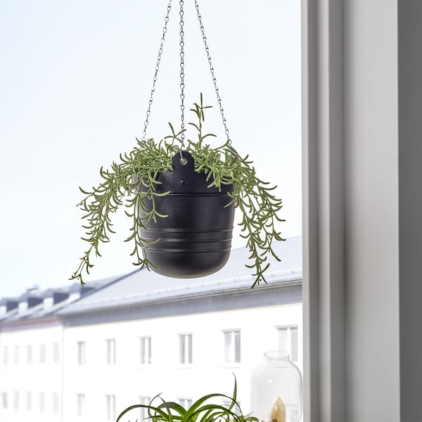 PÄRLRÖNN Viseća saksija, unutra/spolja/crna, 15 cm